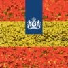 Embajada_holanda